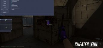 FlexHack - powerful hack CSGO [crack]