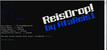 Cheat for money GTA V - ReisDrop! | External 2500$ dropper (Steam, EpicGames, SocialClub)