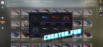 RiseChanger - Free Inventory Changer CSGO