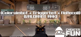 Coloraimbot + Triggerbot + NoRecoil - VALORANT AHK