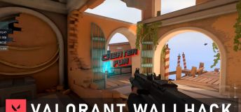 Valorant Wallhack (WH)