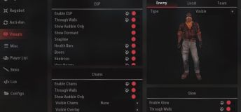 VANITY CSGO Hack (CRACK) - Legit, Rage, Visuals, Skins + CFG