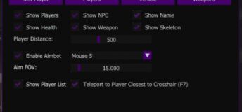 GTA 5 Online & FIVEM - Dukk1ware Mod External Menu