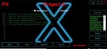 Project X Executor [Beta]