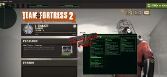 SEOwnedDE - aimbot, visuals, hvh