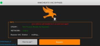KNKCHEATS VAC BYPASS 2022