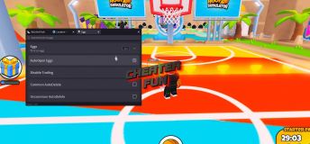 HOOP SIMULATOR Script RaCc0oN Hub