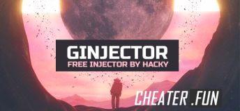 GInjector﻿﻿
