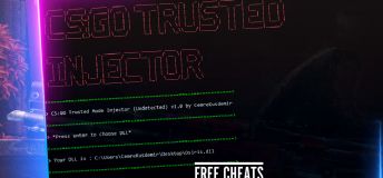 CS:GO TM Injector (Best Injector For CS:GO)
