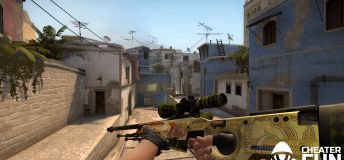 LJXD Changer Beta - External Skin Changer