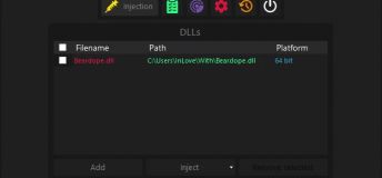 Beardope Injector - (Vac Bypass) [CS:GO, GTA V & many other games]