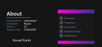 Justpro.cc - ESP, TriggerBot, Radar, Bhop