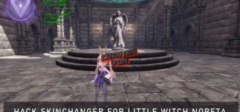 SkinChanger for Little Witch Nobeta