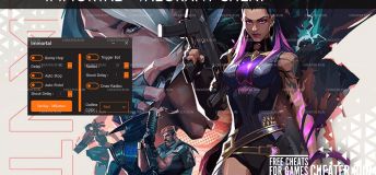 Immortal Valorant Cheat - TriggerBot, Bhop, Autopistol, Autostop