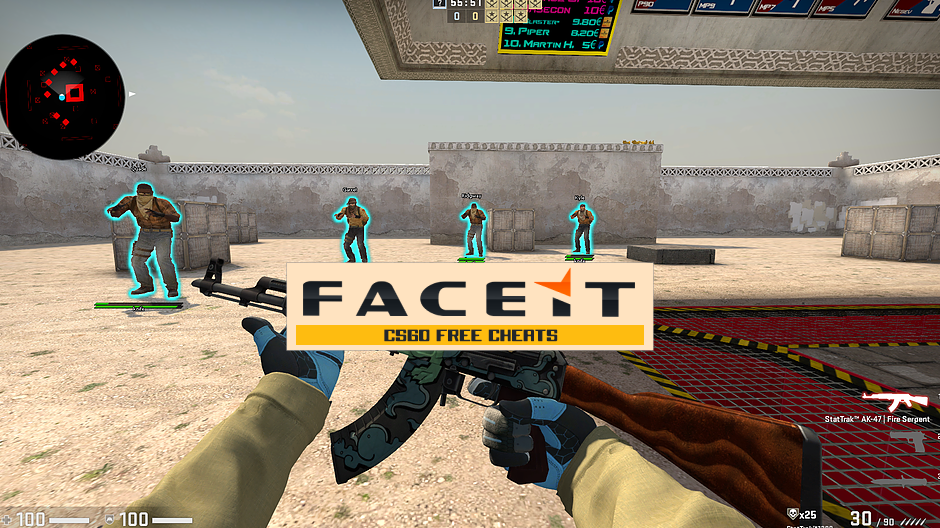 Free CSGO cheats on FaceIt